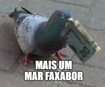 Imagem pessoal