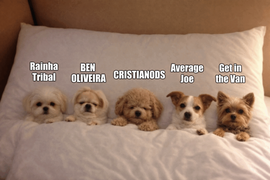 Imagem pessoal