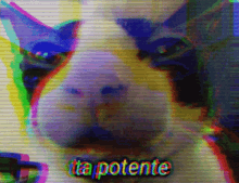 Imagem pessoal